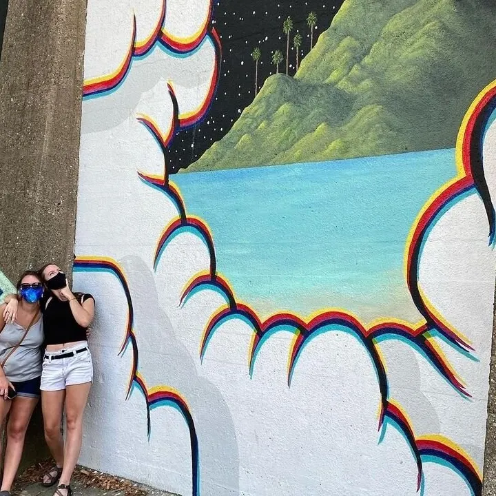 a close up of a kite